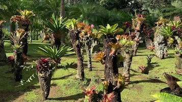 Áreas de la propiedad