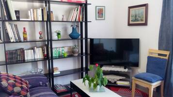 Télévision, lecteur de DVD, livres