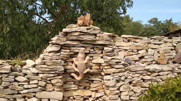 DĂ©tail de lâextĂ©rieur