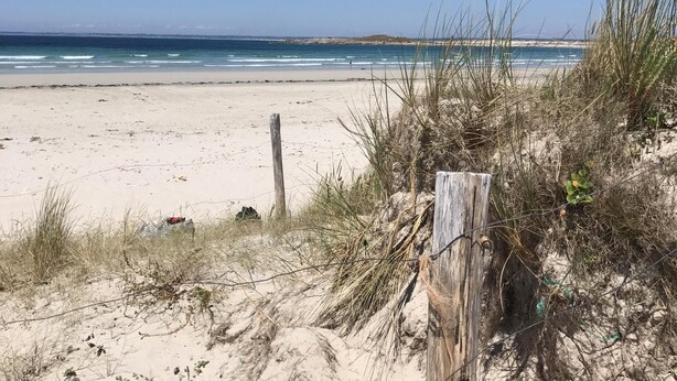 A sandy beach with a wooden fence and sparse vegetation. - Single storey house, enclosed land 400 m from the beach of pors-Carn (Penmarch)