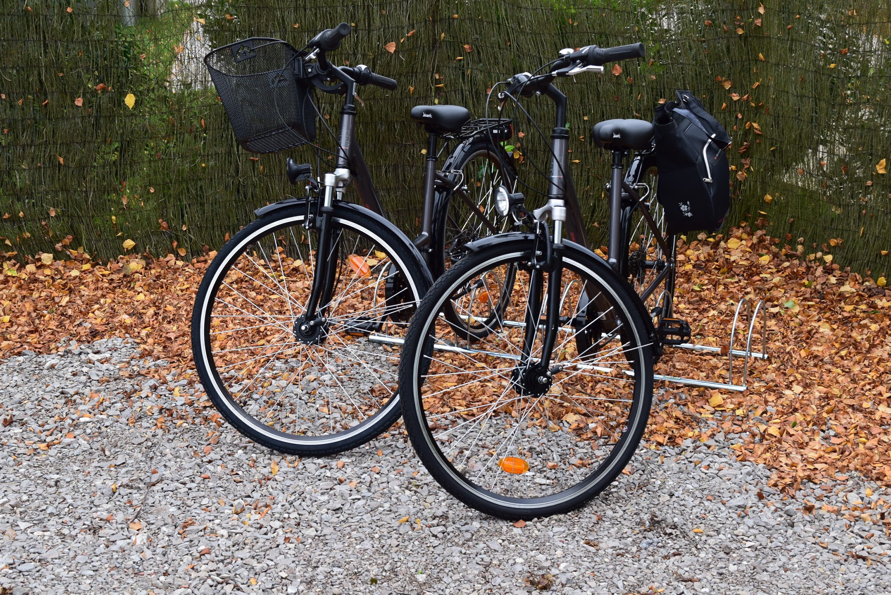 Two bicycles parked on a gravel surface with a green hedge in the background.
