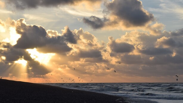 Une plage avec des vagues et des oiseaux qui volent dans le ciel.