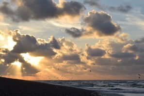 Een strand met golven en vogels die in de lucht vliegen.