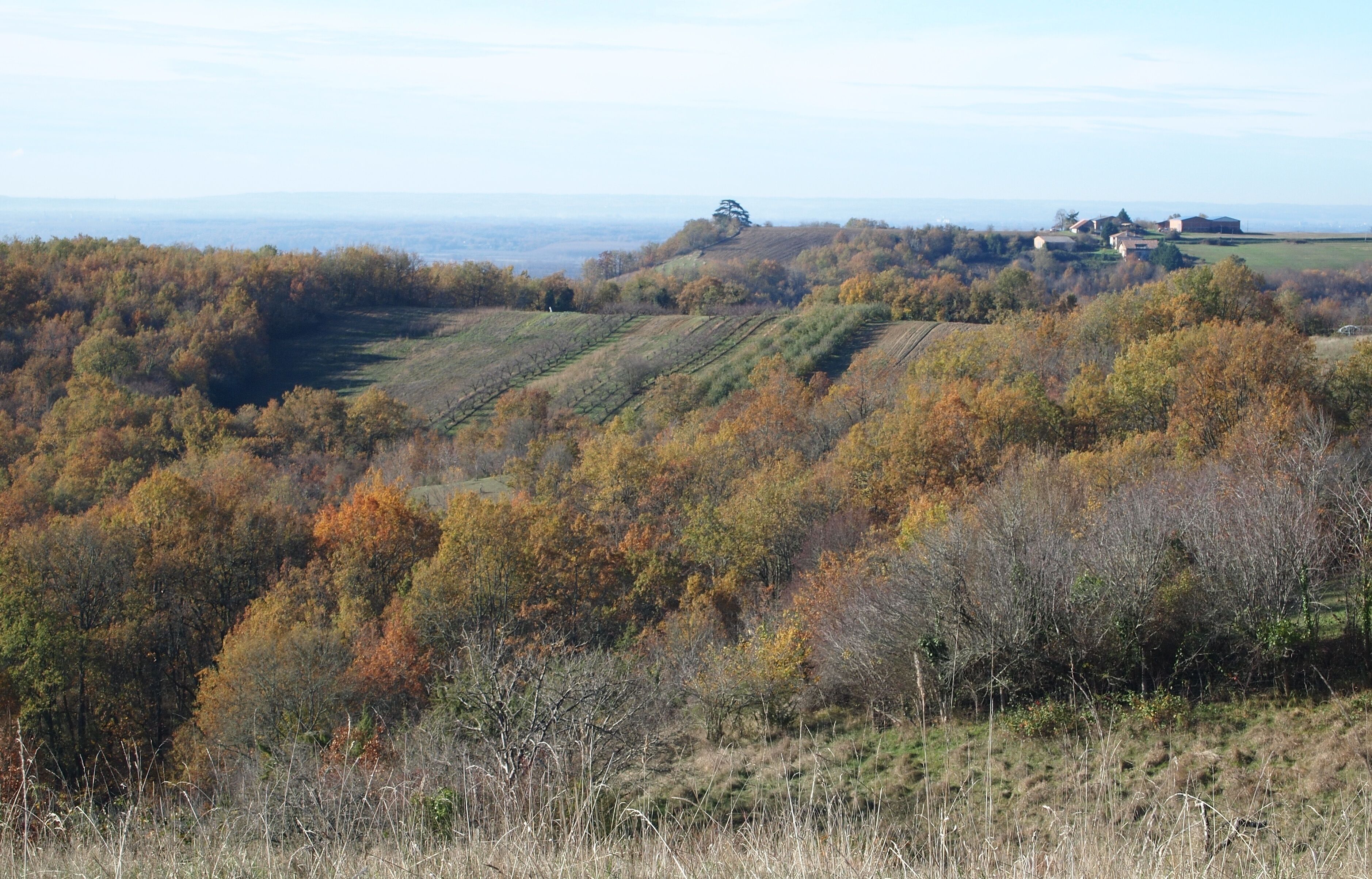 A rural landscape with rolling hills, autumn foliage, and scattered buildings.