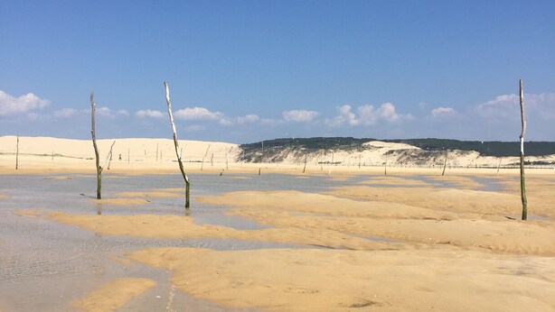 Ein Strand mit klarem, flachem Wasser, sandigem Ufer und einigen Holzpfählen.