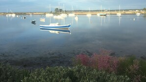 Ein ruhiger Hafen mit mehreren vertäuten Booten, umgeben von Grün und einem klaren Himmel.