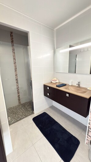 Shower, towels, toilet paper