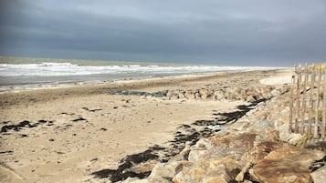 Playa en los alrededores y camastros