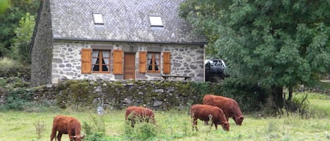 Exterieur