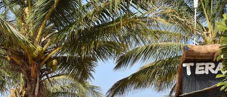 Sillas reclinables de playa
