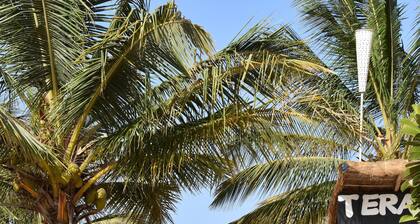 AkunaMatata:<br>Villa 6 people private pool and close to the beach