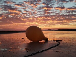 Eine Strandansicht mit einem großen, gelben Bojen, die an einer Kette am Ufer befestigt ist.
