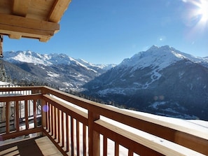 Property grounds - luxurious chalet located in the old village of La Rosière 1850 station (Montvalezan)