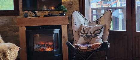 TV, fireplace, DVD player, books