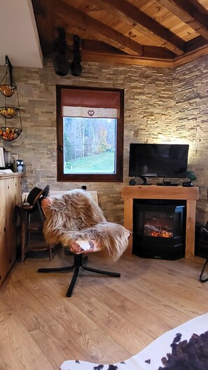 TV, fireplace, DVD player, books