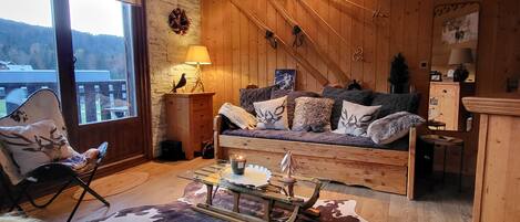 Televisio, takka, DVD-soitin, kirjoja