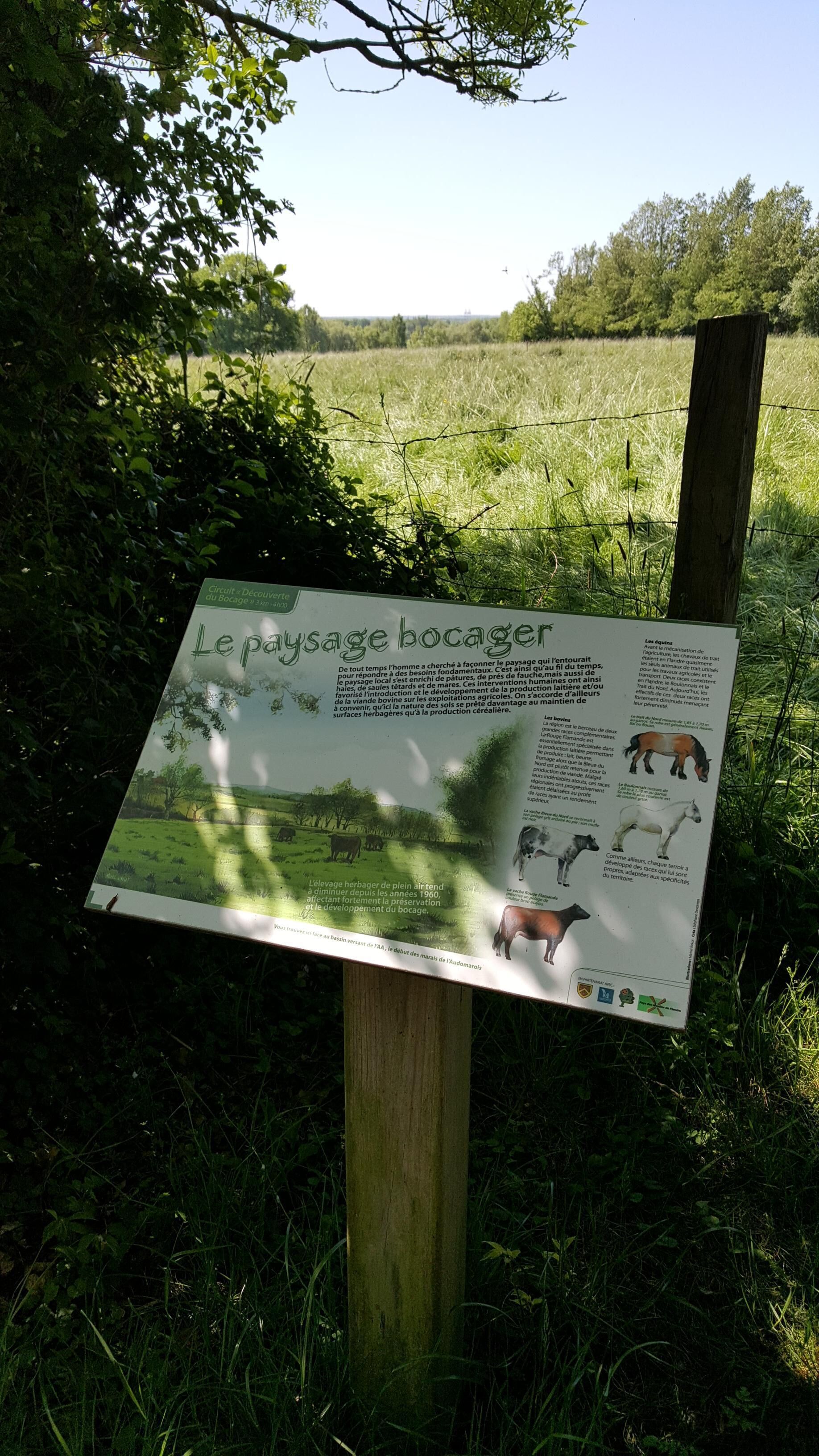 Le bocage
