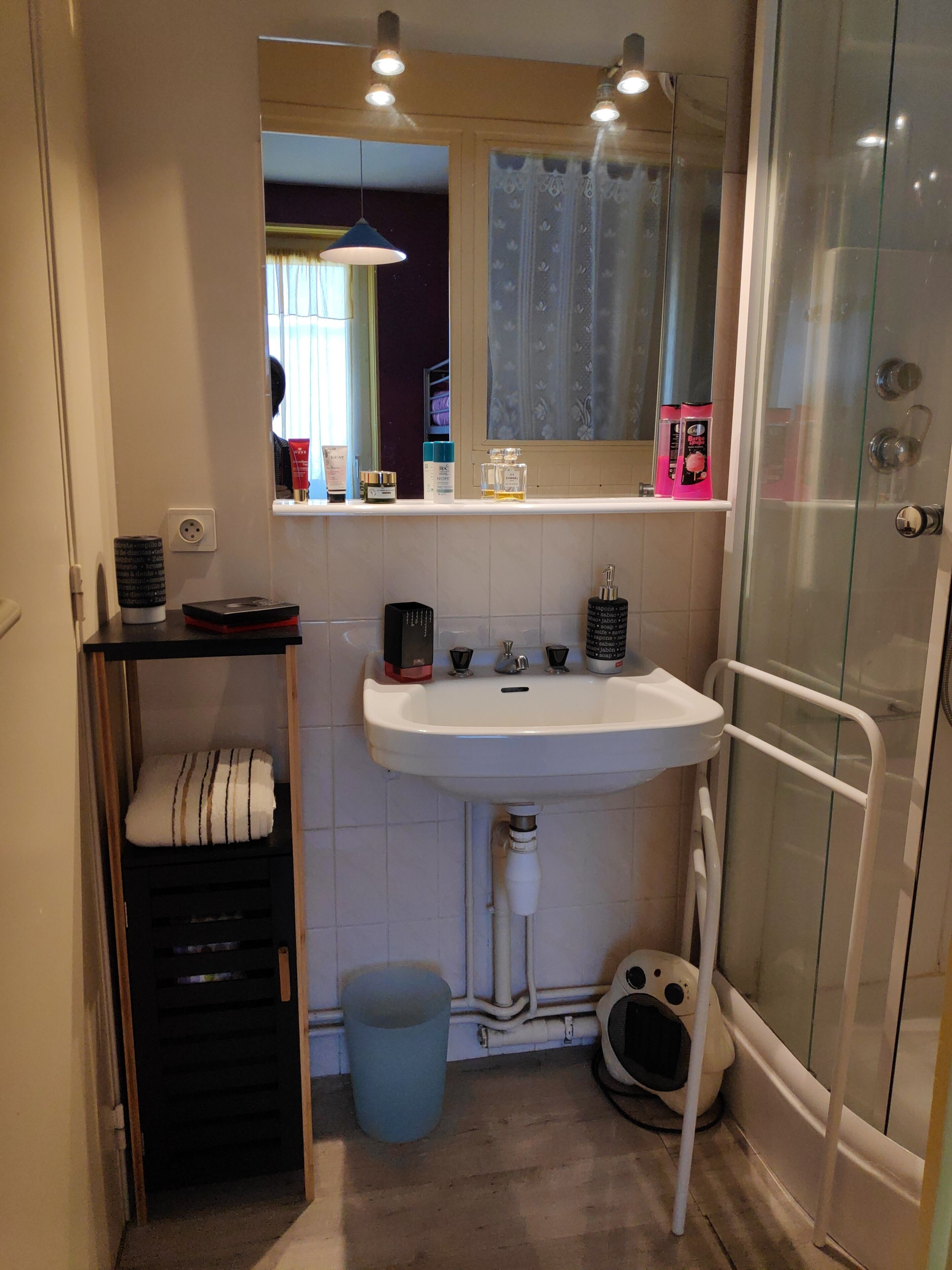 Une salle de bain avec un lavabo, un miroir et une douche. On y trouve des articles de toilette sur le comptoir et un panier pour animaux de compagnie près de la douche.