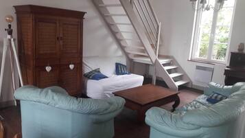 TV, fireplace, books