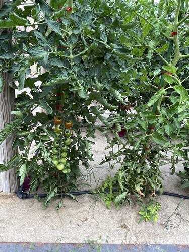 Jolie villa avec piscine et jardin