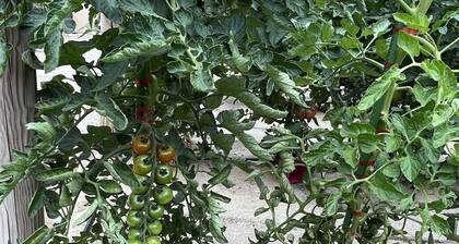 Jolie villa avec piscine et jardin