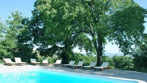 Ein Pool mit Liegestühlen und einem großen Baum im Hintergrund.