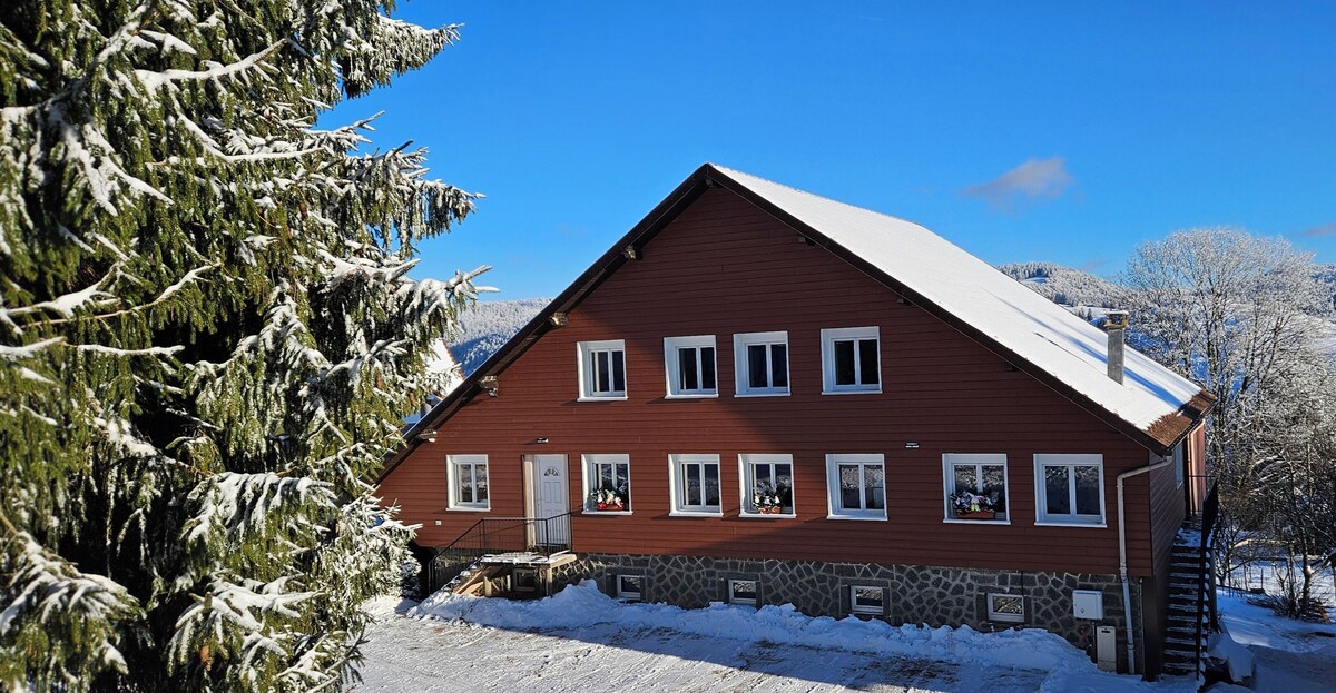 Image de profil de l’hôte