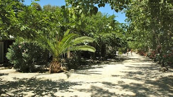 Área da propriedade