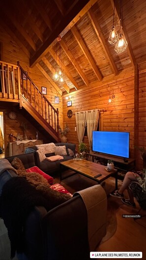 TV connectée, jeux vidéo, lecteur de DVD, livres