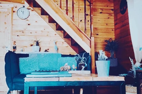 Smart-tv, videospelletjes, een dvd-speler en boeken