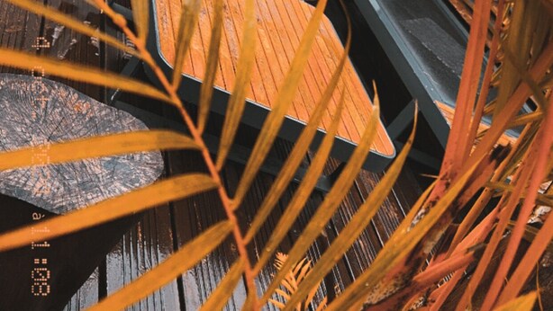 Una terraza rústica de madera con barandilla de metal, rodeada de follaje tropical.