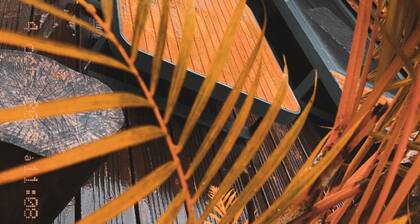 Ô Chalet de Valentin : Between Freshness and Nature