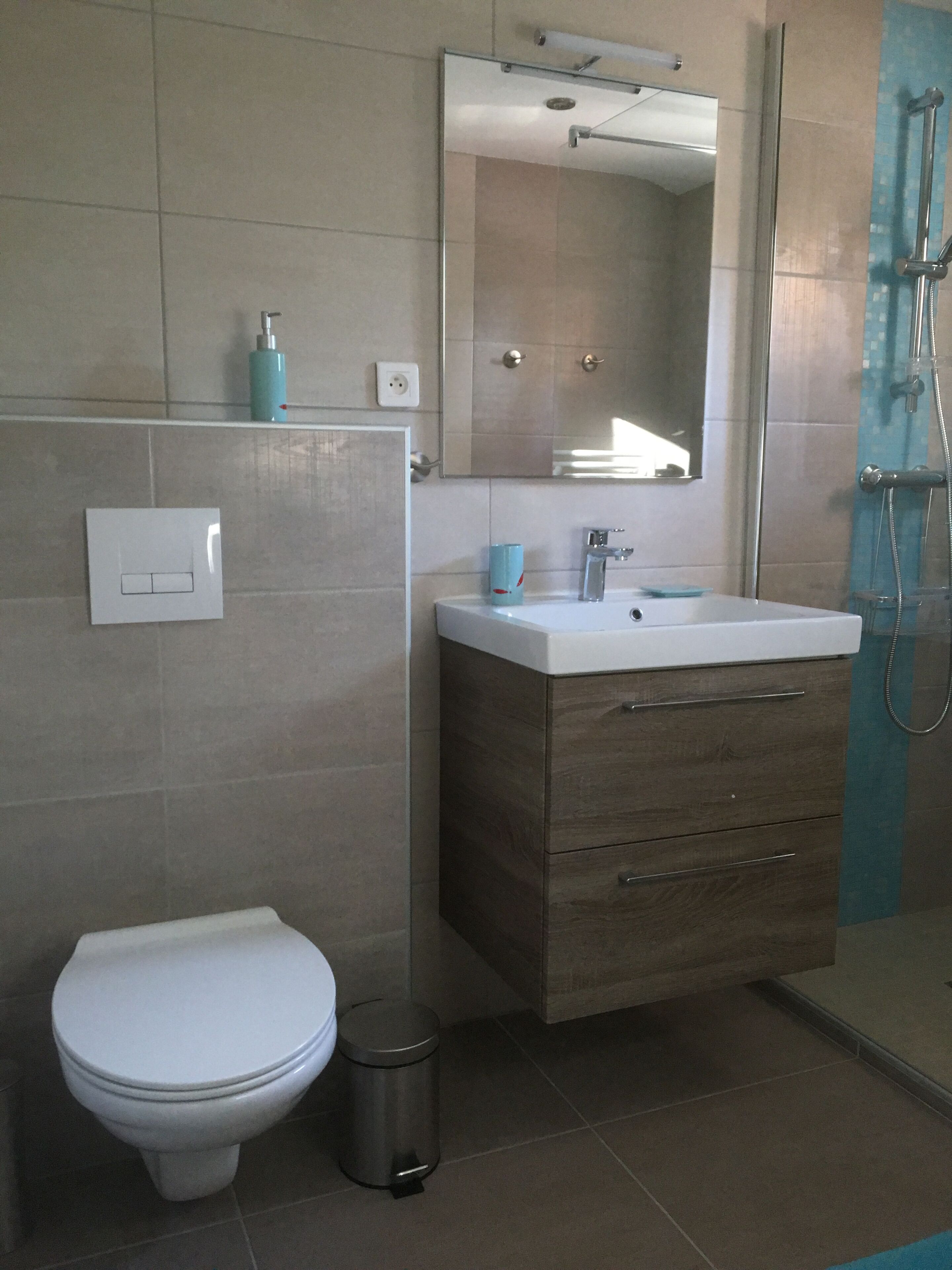 A bathroom with a toilet, a sink, a mirror, and a shower.