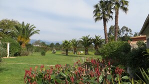 A well-maintained garden with palm trees, a lawn, and various shrubs. - MINI VILLA in Corsica (Lecci)