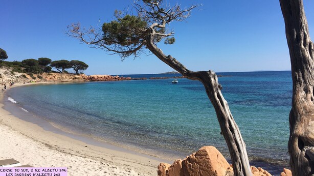 A beach with clear blue water, a sandy shore, and a tree in the foreground. - MINI VILLA in Corsica (Lecci)