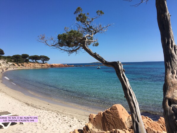 Beach nearby