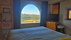 4 bedrooms, desk, iron/ironing board, WiFi - Detached stone house with swimming pool and ponds (Lussan)