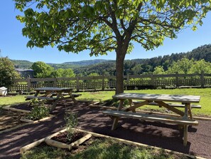 Outdoor dining - Gite with 3 rooms, mountain atmosphere, in St Nectaire in the heart of the Volcanic Park (Saint-Nectaire)