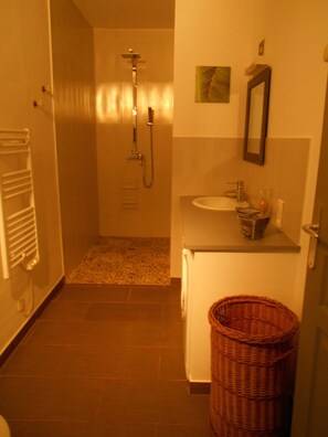 Shower, hair dryer