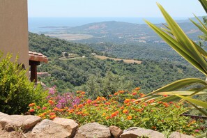 Property grounds - Independent garden level with exceptional views (Sollacaro)
