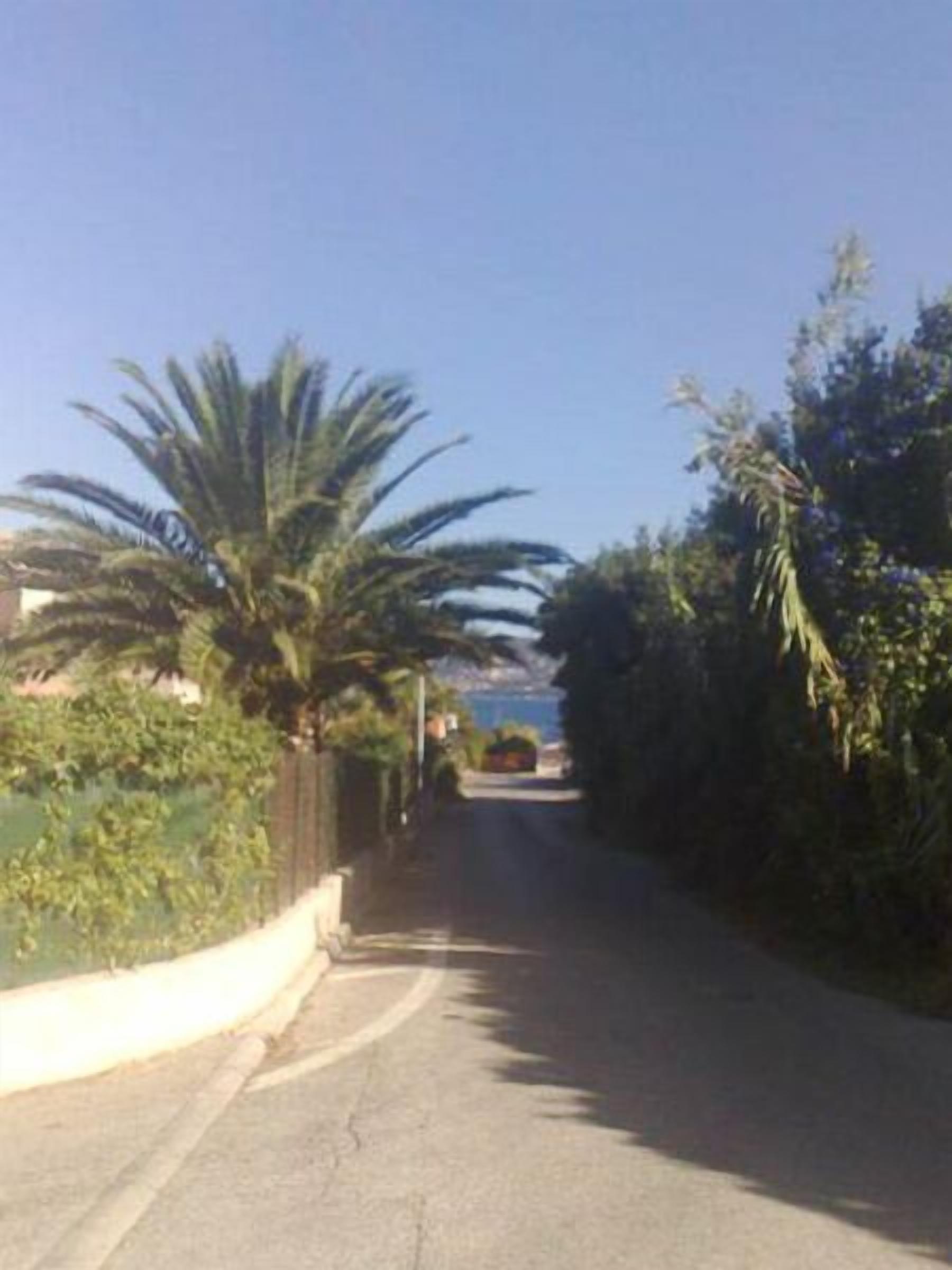 A narrow road flanked by dense foliage and a clear blue sky.