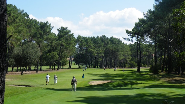 Un campo da golf con cielo sereno, circondato da alberi alti.