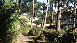 Un sentiero che si addentra in una zona boscosa, con un edificio sullo sfondo.