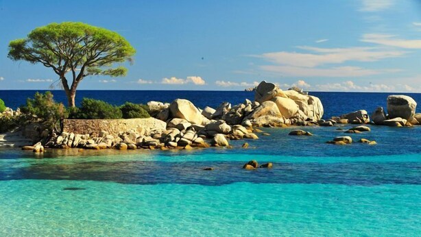 A coastal landscape with clear turquoise waters, a solitary tree, and large boulders. - San Cipriano (St Cyprien) 6 pers conditioned villa, in residence (Lecci)