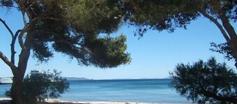 EXCEPTIONAL S. Berriau BEAUTIFUL T3 waterfront / garden level-Direct access plag