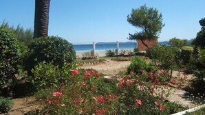 Un jardin offrant une vue sur la mer, agrémenté d’un grand palmier, d’un mur de pierre et de divers arbustes.
