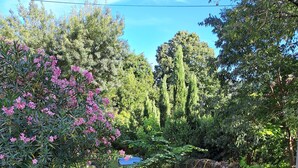 A garden with various plants and trees, a pathway, and a blue structure in the background.