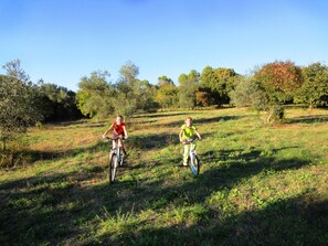 Two people riding bicycles on a grassy field with trees in the background.