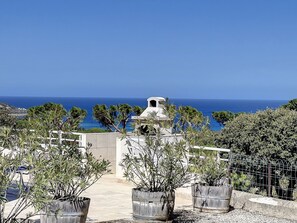 A coastal property with a view of the sea, featuring a white building with a bell tower, surrounded by potted plants and a metal fence. - In Corbara, downstairs villa - beautiful sea view - close to Bodri beach. (Corbara)