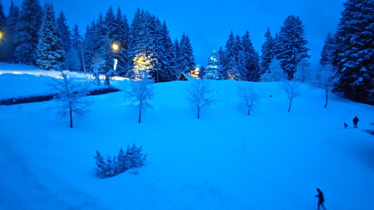 Imagen de perfil del propietario o de la propietaria